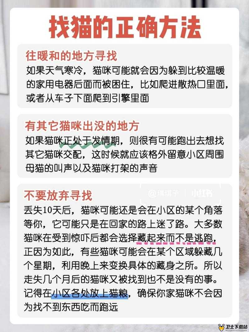 猫咪找不到了究竟该怎么办：实用指南来帮你快速寻回爱宠