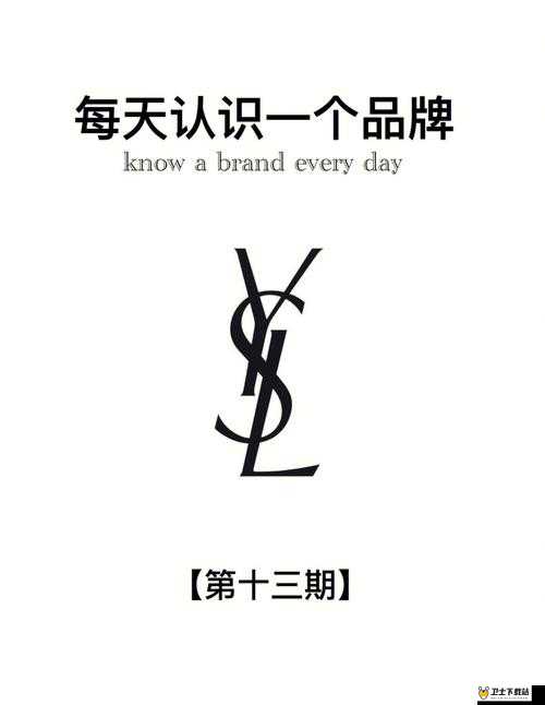 YSL 千人千色 T9T9T9 最新网站：探索时尚与美的无限可能